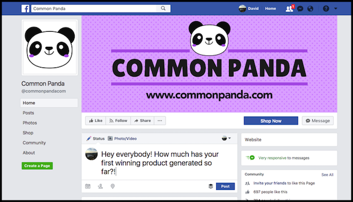 Common Panda Facebook Page Shopify Tutorial